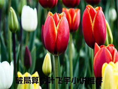 破局算命叶飞宇（破局算命叶飞宇）全文免费阅读无弹窗大结局_破局算命叶飞宇最新章节列表阅读_笔趣阁