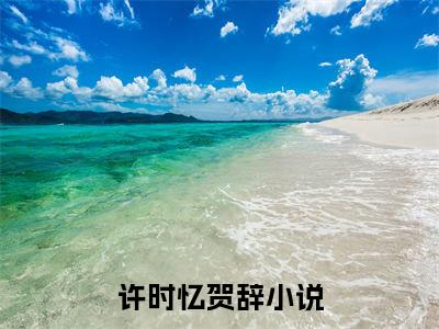 许时忆贺辞（许时忆贺辞）小说全文免费阅读无弹窗-许时忆贺辞全章节在线阅读