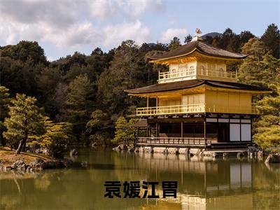 袁媛江胄是什么小说-袁媛江胄全文免费阅读无弹窗大结局（袁媛江胄）最新章节阅读