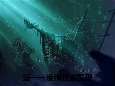 盛一一凌枫（盛一一凌枫）全文免费阅读无弹窗大结局_盛一一凌枫全文免费阅读（盛一一凌枫）最新章节列表_笔趣阁（盛一一凌枫）