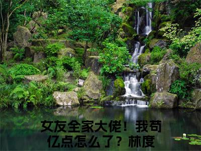 女友全家大佬！我苟亿点怎么了？林度小说（女友全家大佬！我苟亿点怎么了？林度）完整版全文在线赏析-小说女友全家大佬！我苟亿点怎么了？林度全文大结局已完结