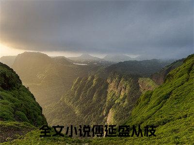 傅延盛从枝笔趣阁免费小说-主角为傅延盛从枝的小说全文在线赏析