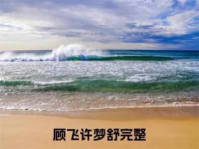 顾飞许梦舒（顾飞许梦舒）全集免费阅读无弹窗_顾飞许梦舒正版小说免费阅读
