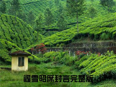 上位游戏阎雪昭席封言完结小说-阎雪昭席封言全文免费阅读无弹窗