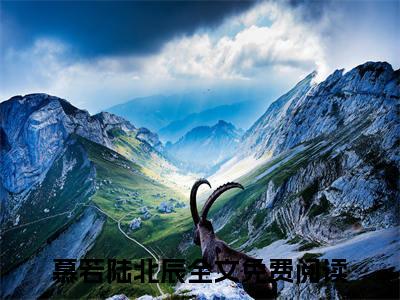慕若陆北辰全文免费阅读无弹窗大结局，慕若陆北辰小说精彩免费试读