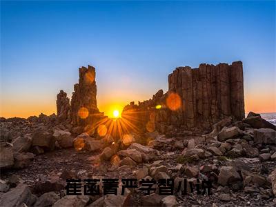 崔菡菁严学智全文免费阅读无弹窗大结局_(崔菡菁严学智)免费阅读全文无弹窗_