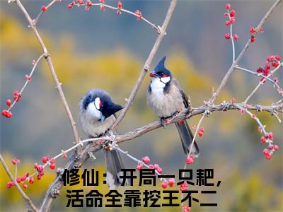 修仙：开局一只耙，活命全靠挖王不二小说免费阅读无弹窗《修仙：开局一只耙，活命全靠挖王不二》_修仙：开局一只耙，活命全靠挖王不二全文阅读