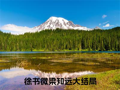 徐书微梁知远（原来一切终究还是一场梦）全文免费阅读无弹窗_徐书微梁知远最新小说_笔趣阁