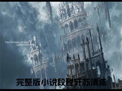 《段程轩苏清鸢》全文免费阅读无弹窗大结局-段程轩苏清鸢 全文全章节免费阅读