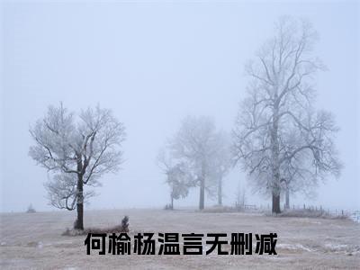 何榆杨温言（何榆杨温言）小说全文免费阅读无弹窗-何榆杨温言小说全文免费阅读最新章节列表笔趣阁