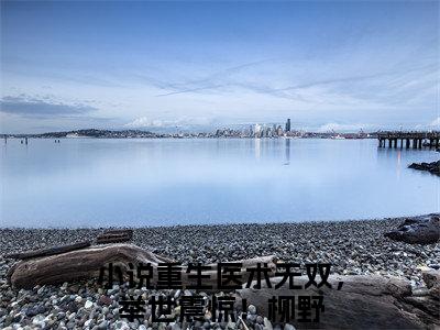 重生医术无双，举世震惊！柳野小说最新章节阅读 重生医术无双，举世震惊！柳野全文免费阅读最新章节大结局