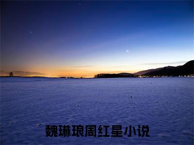 魏琳琅周红星全文推荐阅读，魏琳琅周红星热门榜单免费新书阅读