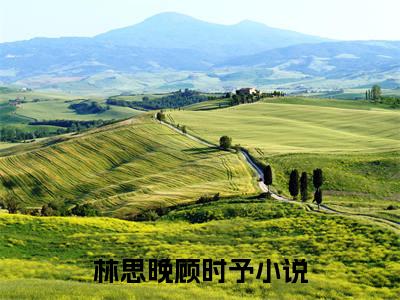 林思晚顾时予正版小说全文阅读-小说推荐林思晚顾时予精彩章节全文阅读