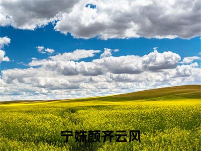 宁姝颜齐云风（宁姝颜齐云风）小说全文-宁姝颜齐云风无弹窗免费阅读