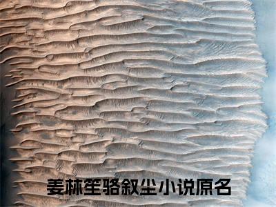 姜林笙骆叙尘（姜林笙骆叙尘）全文小说-姜林笙骆叙尘小说最新章节免费阅读