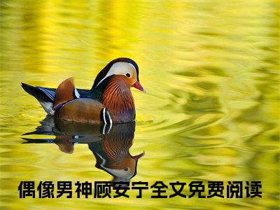 偶像男神顾安宁全文免费阅读无弹窗大结局_（偶像男神顾安宁在线阅读）偶像男神顾安宁最新章节完整版阅读