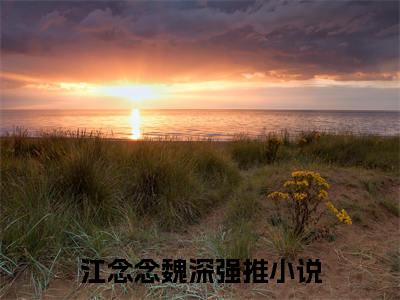 江念念魏深全文免费阅读无弹窗-江念念魏深小说全文在线赏析_笔趣阁（江念念魏深）