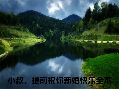 苏徊意贺司屿最新章节（小叔，提前祝你新婚快乐）全文免费阅读无弹窗大结局_小叔，提前祝你新婚快乐免费阅读