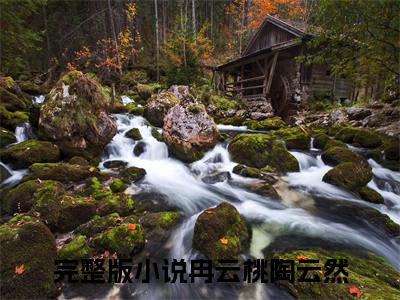 冉云桃陶云然全文免费阅读无弹窗大结局-(冉云桃陶云然)什么小说-冉云桃陶云然热门小说更新