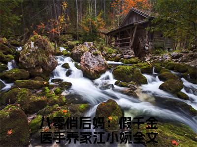 抖音热推八零俏后妈：假千金医手养家江小婉无弹窗阅读八零俏后妈：假千金医手养家江小婉小说免费阅读无弹窗