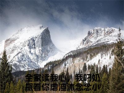 新上热文全家读我心，我叼奶瓶看你虐渣沐念念在线免费读-全家读我心，我叼奶瓶看你虐渣沐念念的小说（全家读我心，我叼奶瓶看你虐渣沐念念）完整版免费读全文