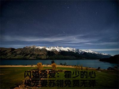 闪婚强爱：霍少的心尖宠妻苏翎小说全文-闪婚强爱：霍少的心尖宠妻苏翎最新章节免费阅读闪婚强爱：霍少的心尖宠妻苏翎小说