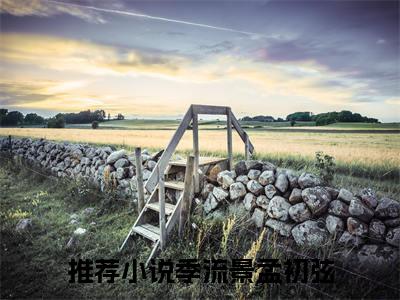 主角为季流景孟初弦的小说全文完整版阅读