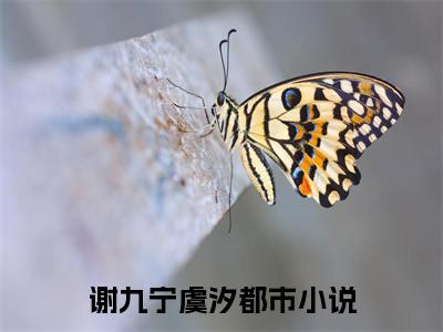谢九宁虞汐已完结小说全集阅读（谢九宁虞汐完整版大结局）谢九宁虞汐小说全文阅读笔趣阁