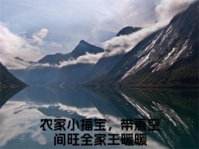 农家小福宝，带着空间旺全家王暖暖小说全文免费阅读无弹窗-（农家小福宝，带着空间旺全家王暖暖阅读无弹窗）穿越小说免费阅读_笔趣阁