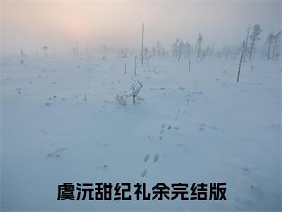 抖音新上热文虞沅甜纪礼余-抖音热推小说无弹窗阅读