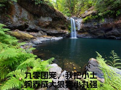 九零团宠，我把小土狗养成大狼狗小九小说(九零团宠，我把小土狗养成大狼狗小九)小说全文免费阅读_（九零团宠，我把小土狗养成大狼狗小九）九零团宠，我把小土狗养成大狼狗小九最新章节列表