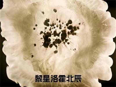 黎星洛霍北辰完结版阅读《黎星洛霍北辰》最新章节目录好书推荐_(黎星洛霍北辰)