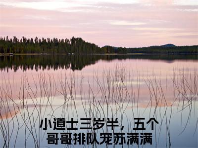 小道士三岁半，五个哥哥排队宠苏满满(小道士三岁半，五个哥哥排队宠苏满满)全文免费小道士三岁半，五个哥哥排队宠苏满满读无弹窗大结局_ 小道士三岁半，五个哥哥排队宠苏满满无弹窗最新章节列表_笔趣阁