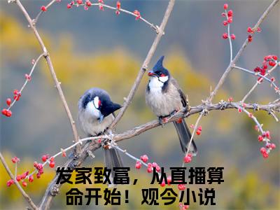 发家致富，从直播算命开始！观今精选好书-发家致富，从直播算命开始！观今无删减小说在线阅读（发家致富，从直播算命开始！观今全文免费阅读）