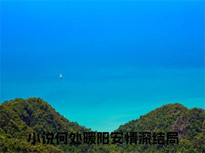 秦暖意陆屿桀免费小说全文免费阅读无弹窗大结局_何处暖阳安情深完结版在线阅读