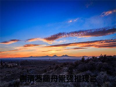 谢清寒蔺舟祟全集章节小说免费阅读完整版（谢清寒蔺舟祟）-谢清寒蔺舟祟小说免费阅读