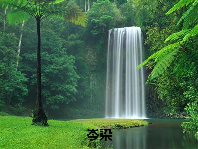 岑染（爆红顶流从做国民学神开始小说全文）在线阅读-岑染全文免费阅读大结局