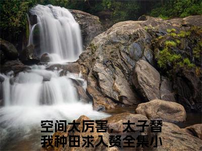 庄锦凌亦寒（空间太厉害，太子替我种田求入赘）全文免费阅读_空间太厉害，太子替我种田求入赘全文阅读_笔趣阁