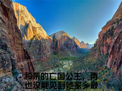 韩昭拓跋隼（和亲的亡国公主，再也没能见到她家乡最后一面）全文完整版免费阅读_和亲的亡国公主，再也没能见到她家乡最后一面韩昭拓跋隼全文免费阅读