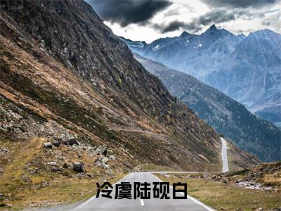 冷虞陆砚白小说最新章节-冷虞陆砚白在线阅读