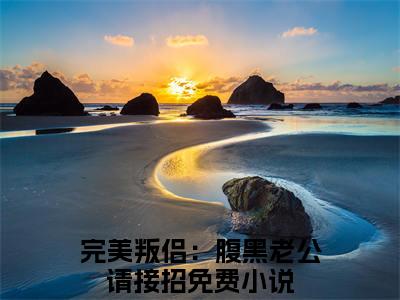 施绍钧靳歆小说免费（完美叛侣：腹黑老公请接招）全文免费阅读无弹窗-完美叛侣：腹黑老公请接招小说全文免费阅读最新章节列表