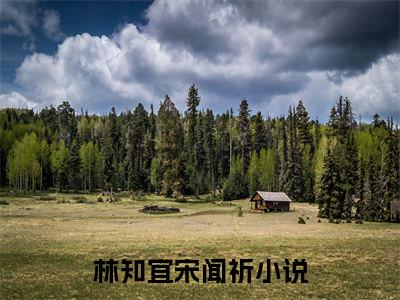 多人追的热门小说（林知宜宋闻祈）-林知宜宋闻祈小说最新章节免费阅读
