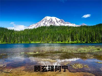 顾玄瑾阿宁（顾玄瑾阿宁）全文免费阅读无弹窗大结局_顾玄瑾阿宁完整版小说阅读（顾玄瑾阿宁）