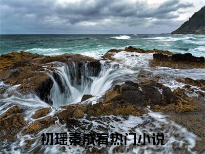 初瑶秦成宥小说-初瑶秦成宥全文免费阅读