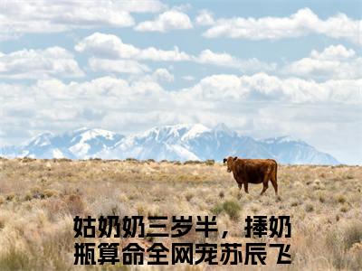 姑奶奶三岁半，捧奶瓶算命全网宠苏辰飞全文全文免费阅读_（姑奶奶三岁半，捧奶瓶算命全网宠苏辰飞免费阅读无弹窗）姑奶奶三岁半，捧奶瓶算命全网宠苏辰飞全文最新章节列表笔趣阁（姑奶奶三岁半，捧奶瓶算命全网宠苏辰飞）