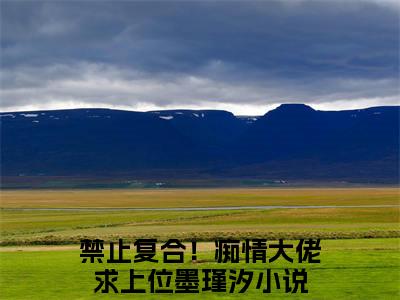 【新书】禁止复合！痴情大佬求上位墨瑾汐全文全章节免费阅读-禁止复合！痴情大佬求上位墨瑾汐小说免费阅读无弹窗最新章节列表