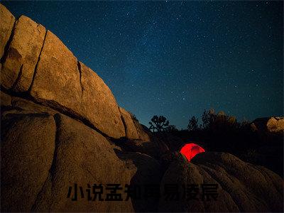 （孟知苒易凌宸）全文免费阅读无弹窗大结局_孟知苒易凌宸免费最新章节列表_笔趣阁