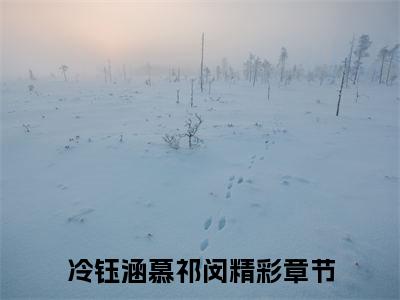 冷钰涵慕祁闵(冷钰涵慕祁闵)小说全文免费阅读无弹窗大结局_（冷钰涵慕祁闵）冷钰涵慕祁闵最新章节列表笔趣阁（冷钰涵慕祁闵）