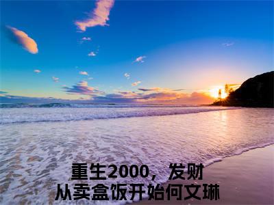 重生2000，发财从卖盒饭开始何文琳（重生2000，发财从卖盒饭开始何文琳小说）在线阅读全文_重生2000，发财从卖盒饭开始何文琳小说免费阅读完结版全文（重生2000，发财从卖盒饭开始何文琳）