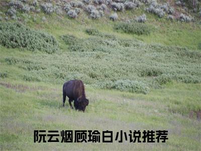 阮云烟顾瑜白最新热门小说-（阮云烟顾瑜白）最新章节免费阅读